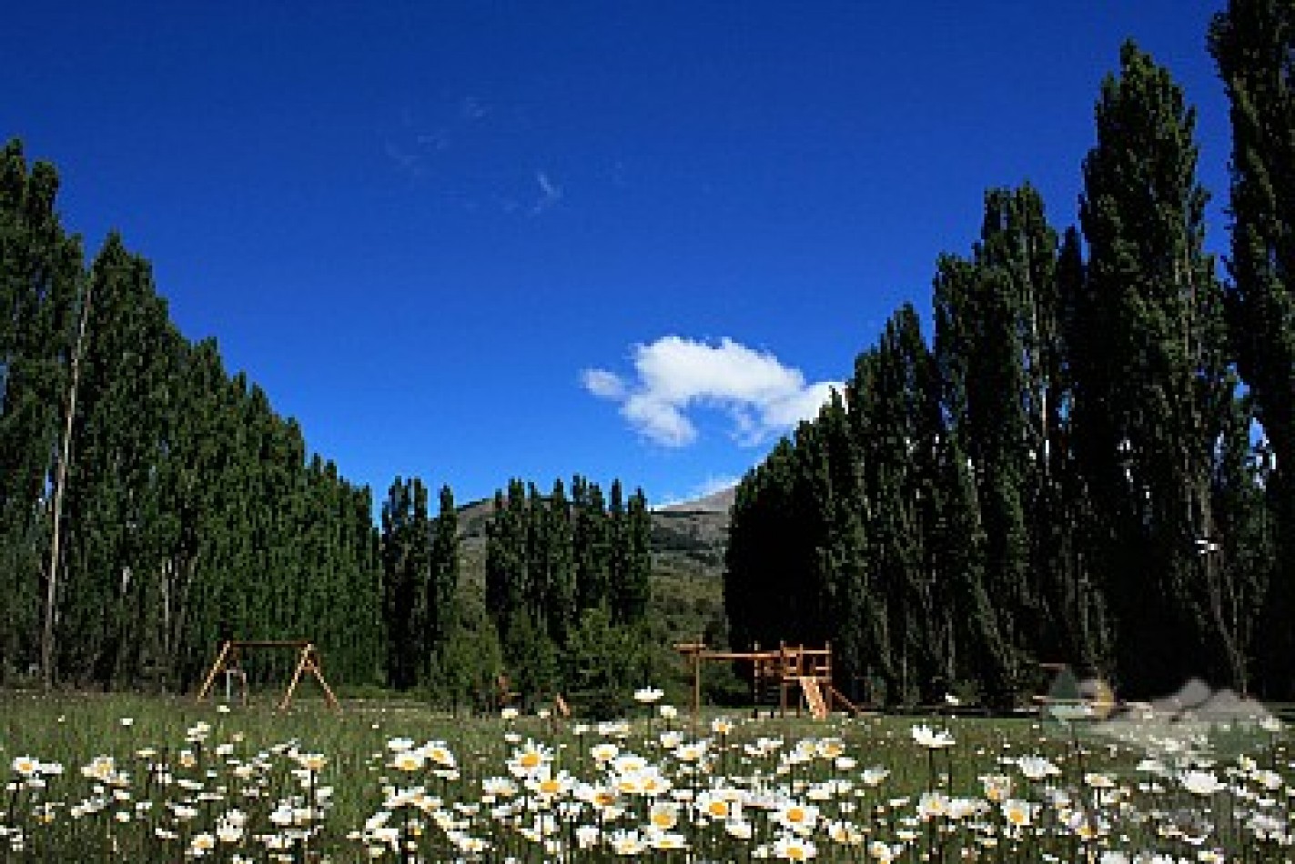 Lote en Club de Campo Dos Valles