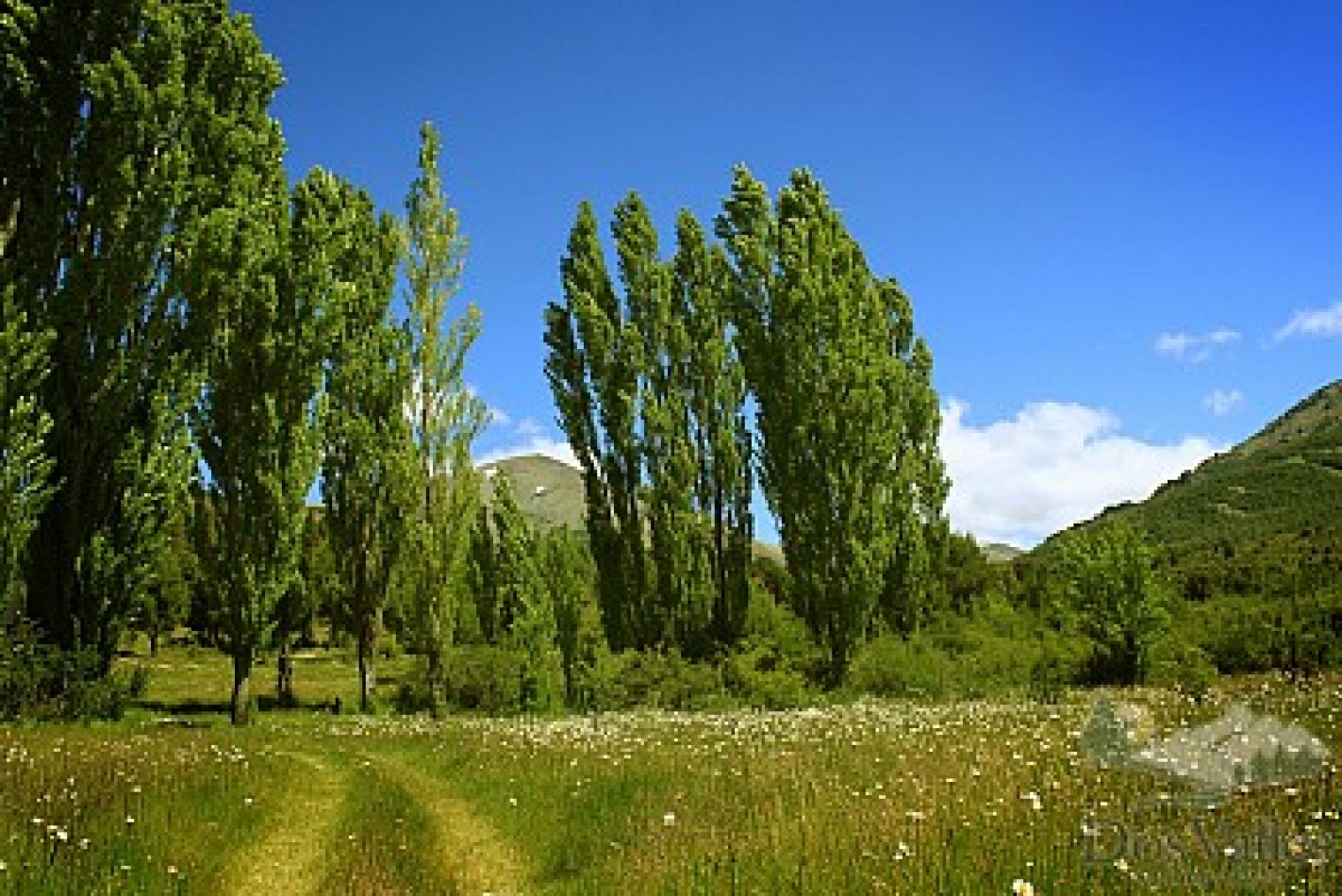 Lote en Club de Campo Dos Valles