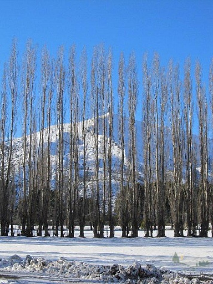 Lote en Club de Campo Dos Valles