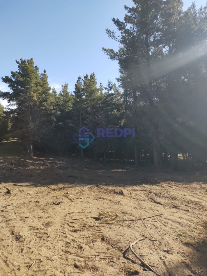 Lotes en Dinehue, Dina Huapi,  de 275 m2 a 297 m2