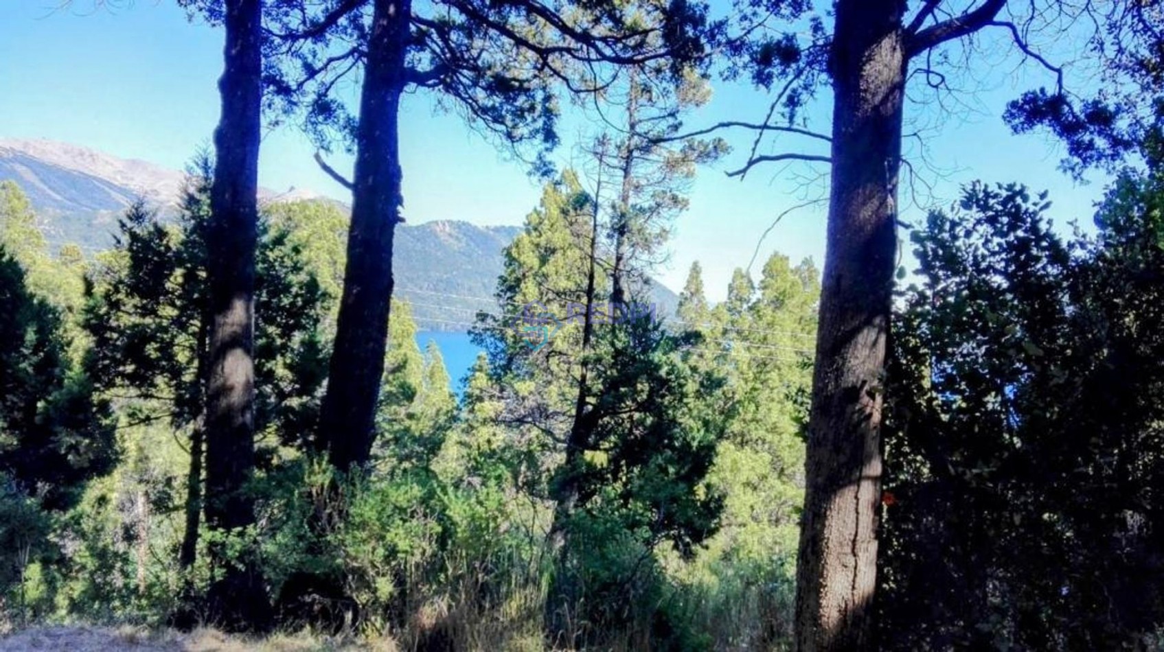 Fraccion con vista al lago Gutierrez y Cerro Catedral