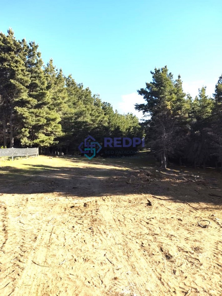 Lotes en Dinehue, Dina Huapi,  de 275 m2 a 297 m2