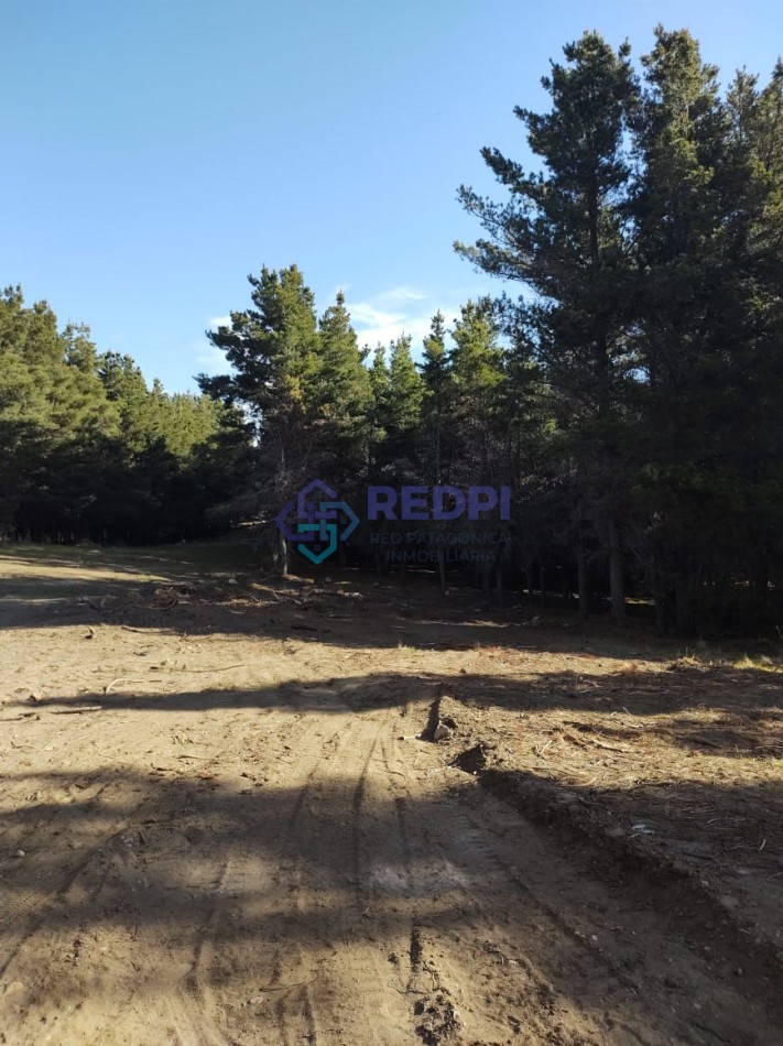 Lotes en Dinehue, Dina Huapi,  de 275 m2 a 297 m2