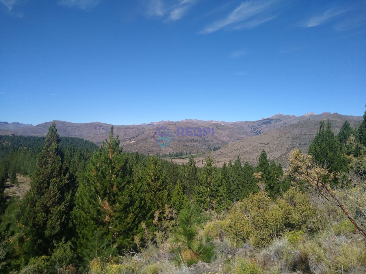 Costa de rio Limay