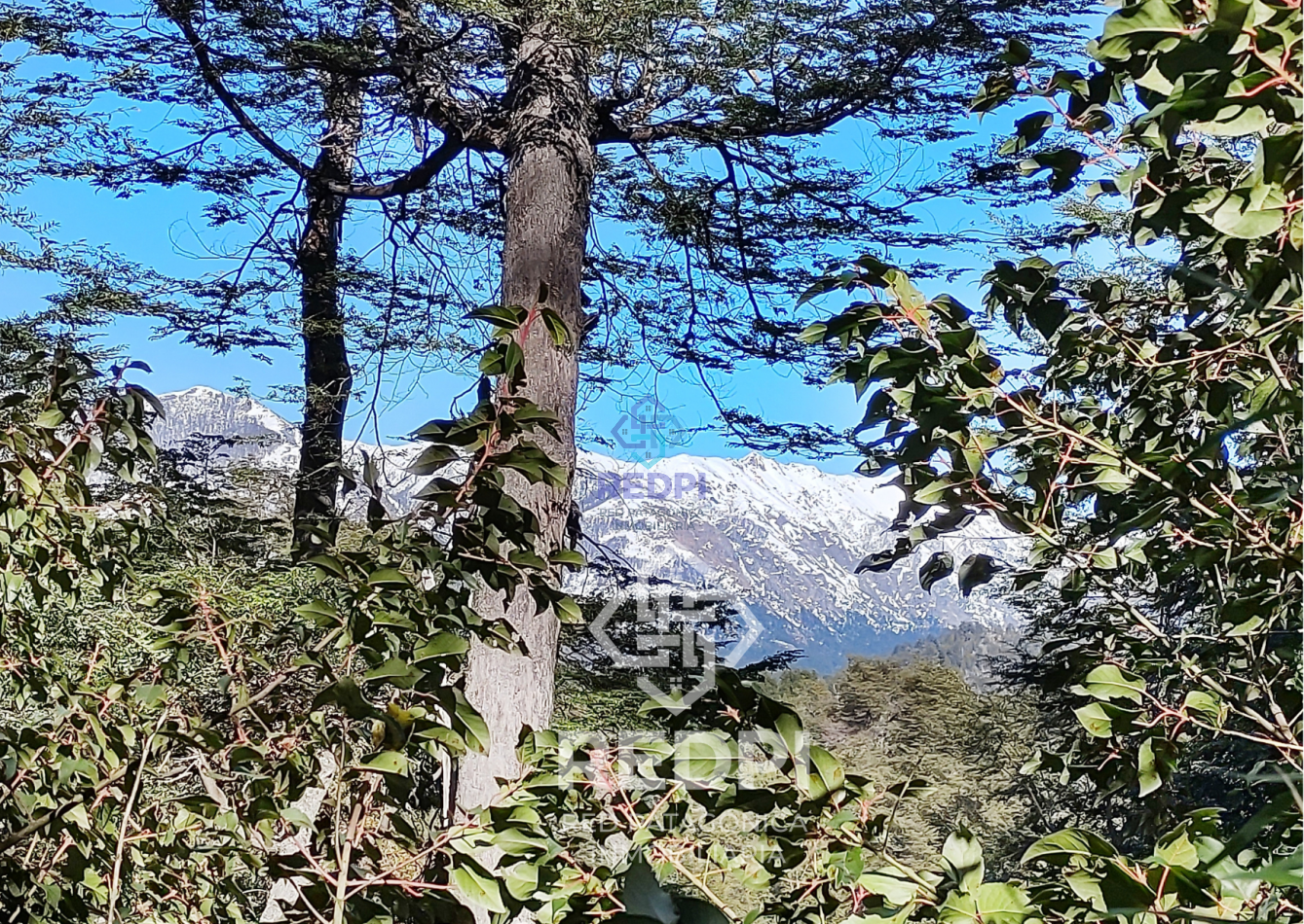 Lote en Lago Morenito, Bariloche