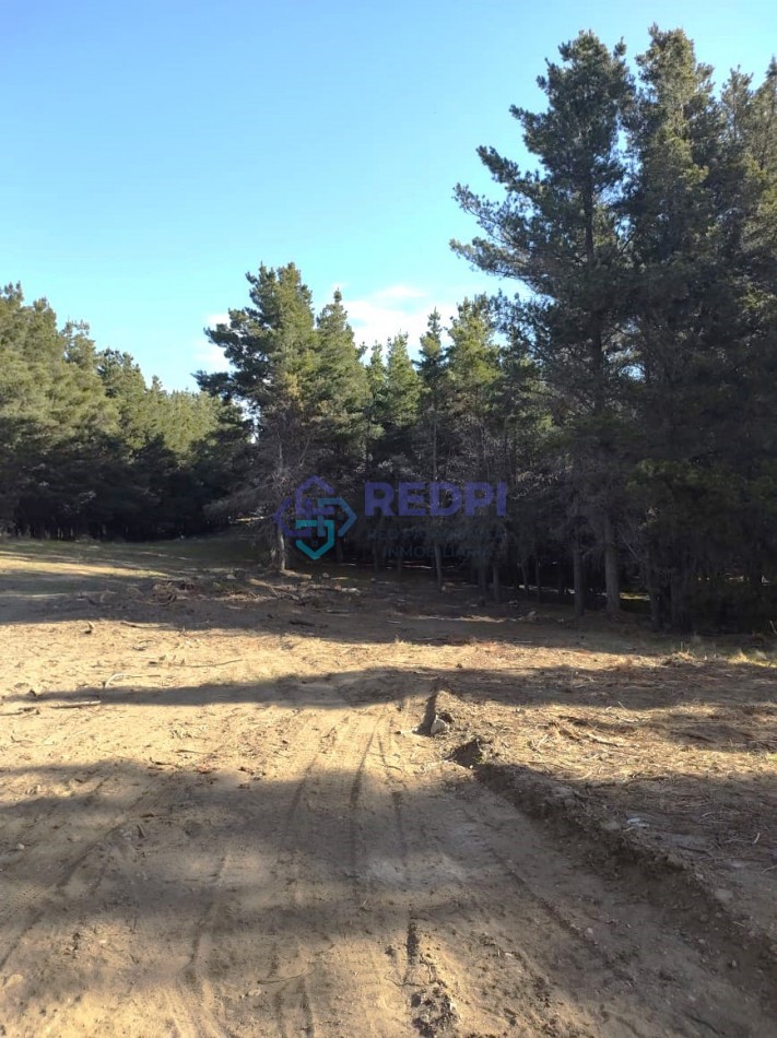 Lotes en Dinehue, Dina Huapi,  de 275 m2 a 297 m2