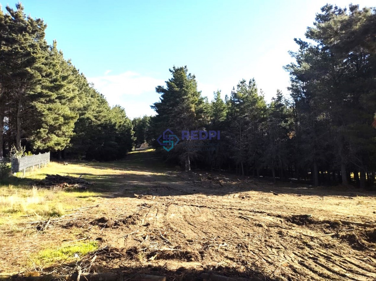 Lotes en Dinehue, Dina Huapi,  de 275 m2 a 297 m2