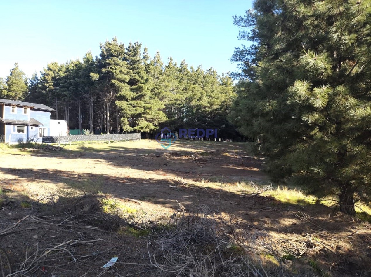 Lotes en Dinehue, Dina Huapi,  de 275 m2 a 297 m2