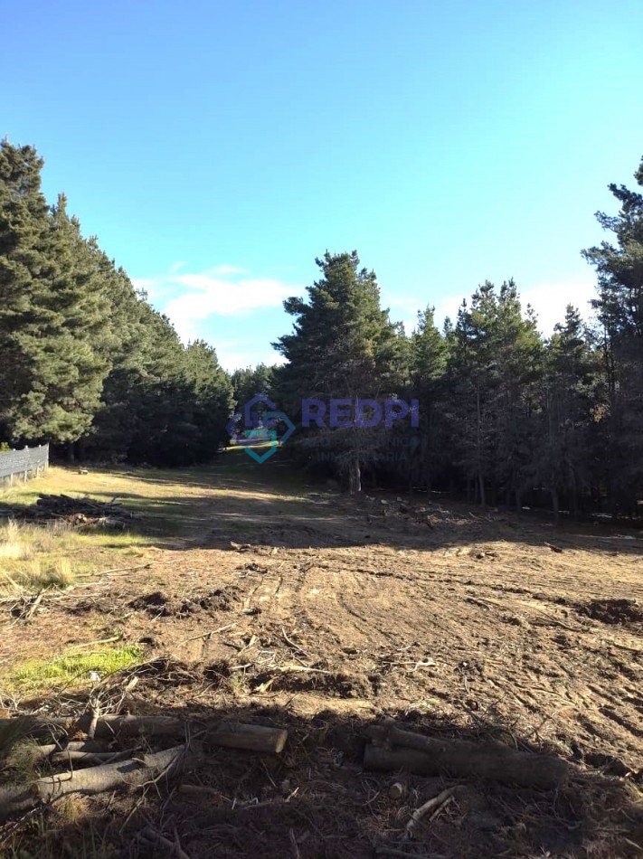 Lotes en Dinehue, Dina Huapi,  de 275 m2 a 297 m2