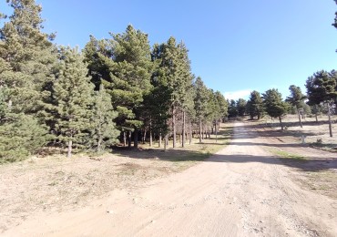 Lote en Dinehue, Dina Huapi,  al frente ¡Ultimo!