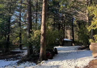 Fraccion con vista al lago Gutierrez y Cerro Catedral
