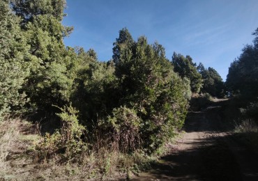 Lote en ladera Norte del Cerro Otto 