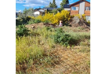 Dina Huapi, lote en PH