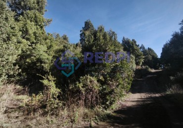 Lote en ladera Norte del Cerro Otto 